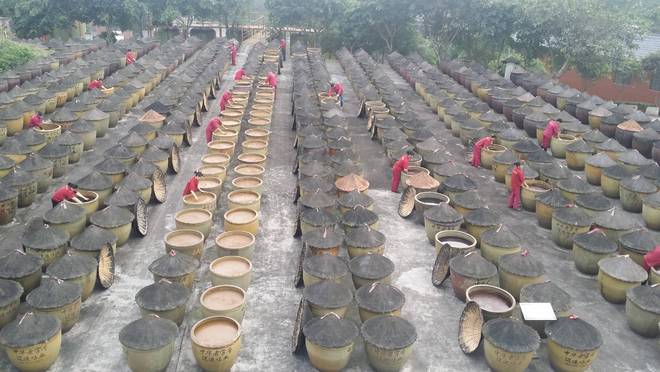 匠心酿岁月 薪火相传谱新篇麻将胡了游戏江津酿造：百年(图7)