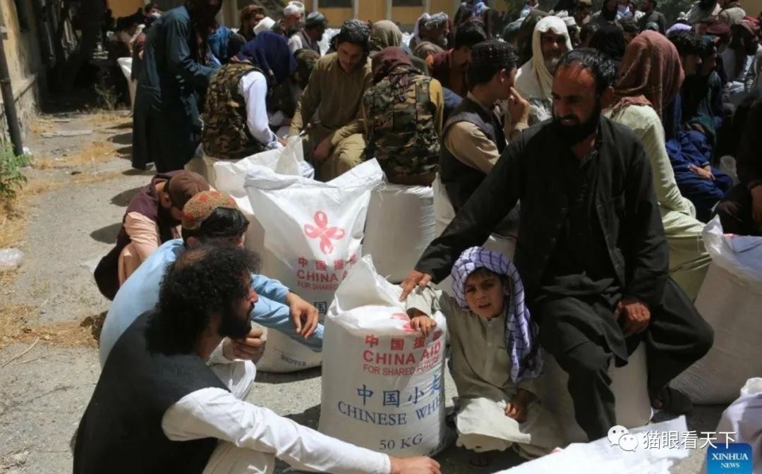 叙利亚乌贼们瞬间沉默无语PG麻将胡了美国再次突袭(图9)